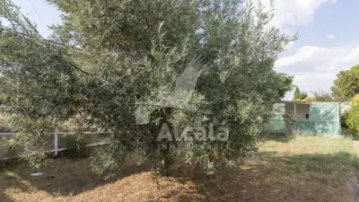 House in Torrejón del Rey photo 25