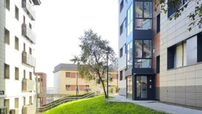 Apartment in Miramar Auzunea photo 30