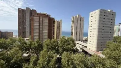 Apartment on Avenida del Mediterráneo photo 23