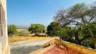 Rustic house in Palma de Mallorca photo 34