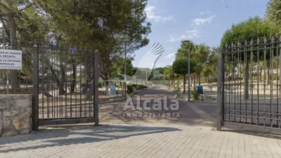Apartment in Campo Real photo 69