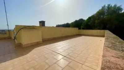 Rustic house in Palma de Mallorca photo 28