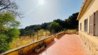 Rustic house in Palma de Mallorca photo 23