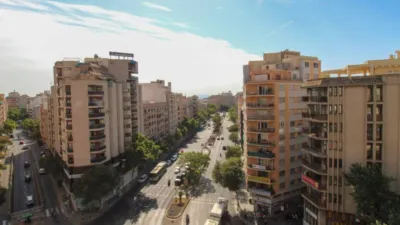Apartment in Bons Aires photo 20