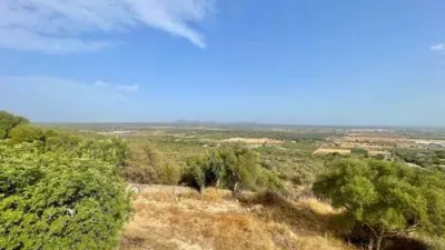 Rustic house in Palma de Mallorca photo 15