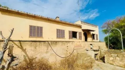 Rustic house in Palma de Mallorca photo 32