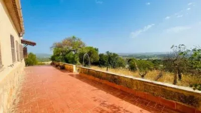 Rustic house in Palma de Mallorca photo 5