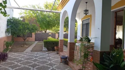 Casa en Castilblanco de los Arroyos photo 59