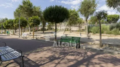 Apartment in Campo Real photo 67