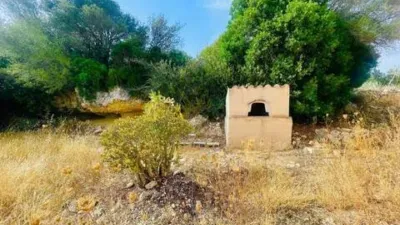 Rustic house in Palma de Mallorca photo 4