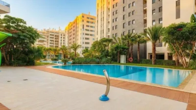 Apartment in Playa de San Juan photo 20