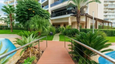 Apartment in Playa de San Juan photo 2