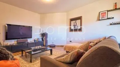Chalet in Turre photo 43