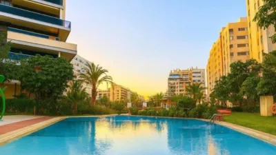 Apartment in Playa de San Juan photo 25