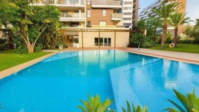 Apartment in Playa de San Juan photo 6