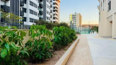 Apartment in Playa de San Juan photo 27