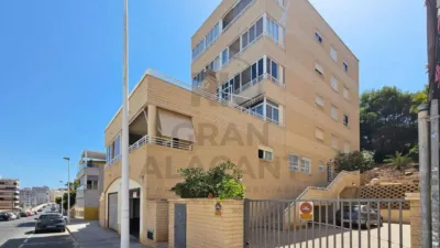 Pis – Elx - Elche - Vista 2