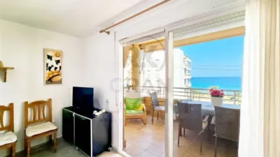 Apartment in Los Arenales del Sol photo 14