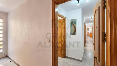 Pis – Elx - Elche - Vista 3