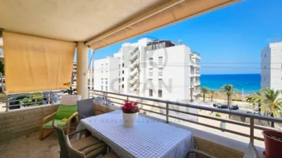Apartment in Los Arenales del Sol photo 15