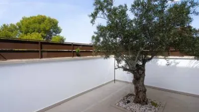 Chalet in Algorfa photo 5