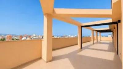 Penthouse on Carrer de Joan Alcover photo 3