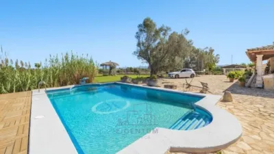 Chalet in Santa Margalida photo 13