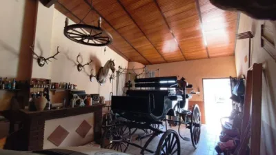 Rustic house in Santa Olalla del Cala photo 35