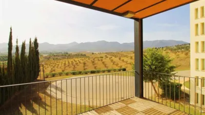 Apartment in Centro photo 4