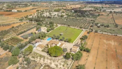 Chalet in Santa Margalida photo 7