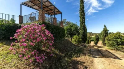 Chalet in Cazalla de La Sierra photo 8