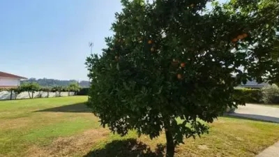 Chalet in Núcleo photo 77