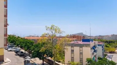 Apartment on Calle del Publicista José Tarí photo 11