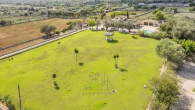 Chalet in Santa Margalida photo 14