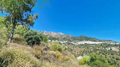 House in Canillas de Aceituno photo 37