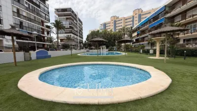 Pis – Alicante - Alacant - Vista 5
