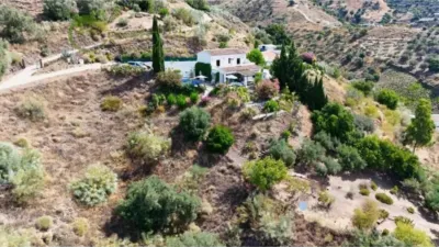 House in Canillas de Aceituno photo 41