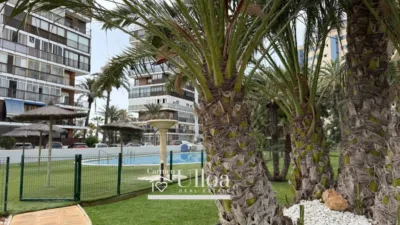 Pis – Alicante - Alacant - Vista 3