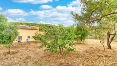 Chalet in Can Balaguer photo 5