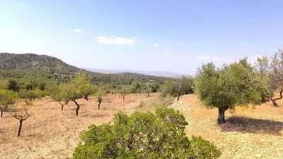 House in Las Virtudes photo 6