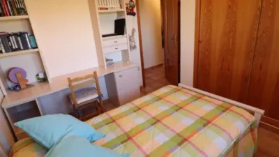 Villa in Algorfa photo 15