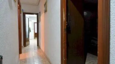 House in Guardamar Playa photo 8