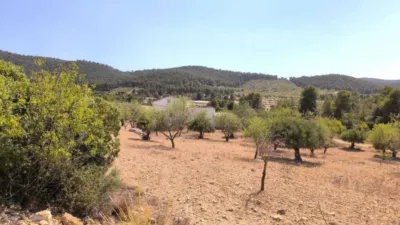 House in Las Virtudes photo 5