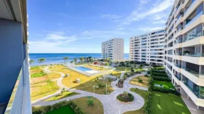 Pis – Torrevieja - Vista 3