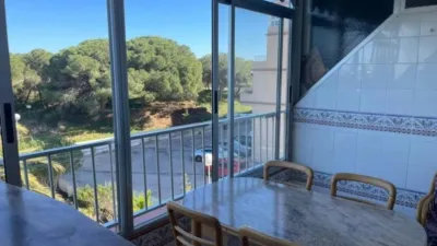 Piso – Guardamar del Segura, Urbanització Pòrtic Mediterrani - Más