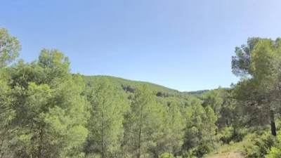 Casa – Villena, Las Virtudes - Más