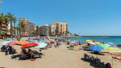 Apartment in Playa del Cura photo 19