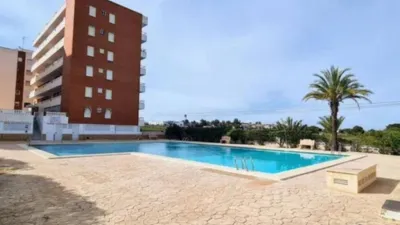 Pis – Torrevieja - Vista 3
