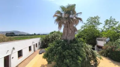 House in Villena photo 29