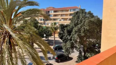 Piso – Guardamar del Segura, Urbanització Pòrtic Mediterrani - Vista 3
